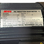 Induction Geared Motor NFS22020753L, label