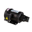 Aryung Motor T-ROTOR Pump AMTP200-208LNVT 