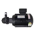 A-Ryung Motor T-ROTOR Pump AMTP1500-212HAVB