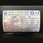 Aryung Motor T-ROTOR Pump AMTP200-208LNVT 
