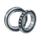 NSK Cylindrical Roller Bearing NN1009BTKRCC0P4