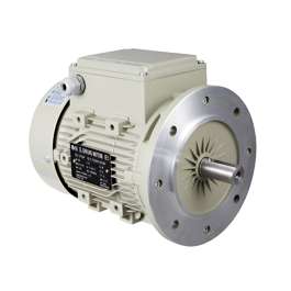 IK ELECTRIC IEC 80 Frame Aluminum Metric Motor, B5 Vertical, 3-Phase, 0 ...