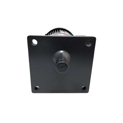 Induction Geared Motor NFS22020503R